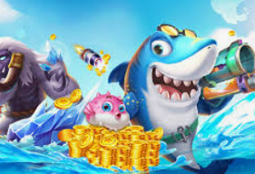 kia云登录入口手机免费版